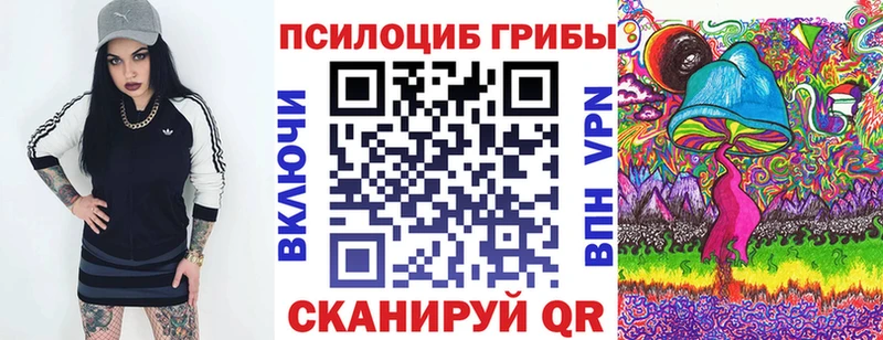 darknet какой сайт  где продают наркотики  Петровск  Галлюциногенные грибы GOLDEN TEACHER 